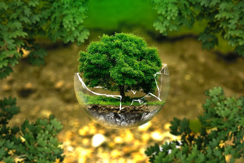 Eco-City of Tomorrow